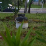 Botijão pega fogo em barraca antes do Arraial de Santo Antônio