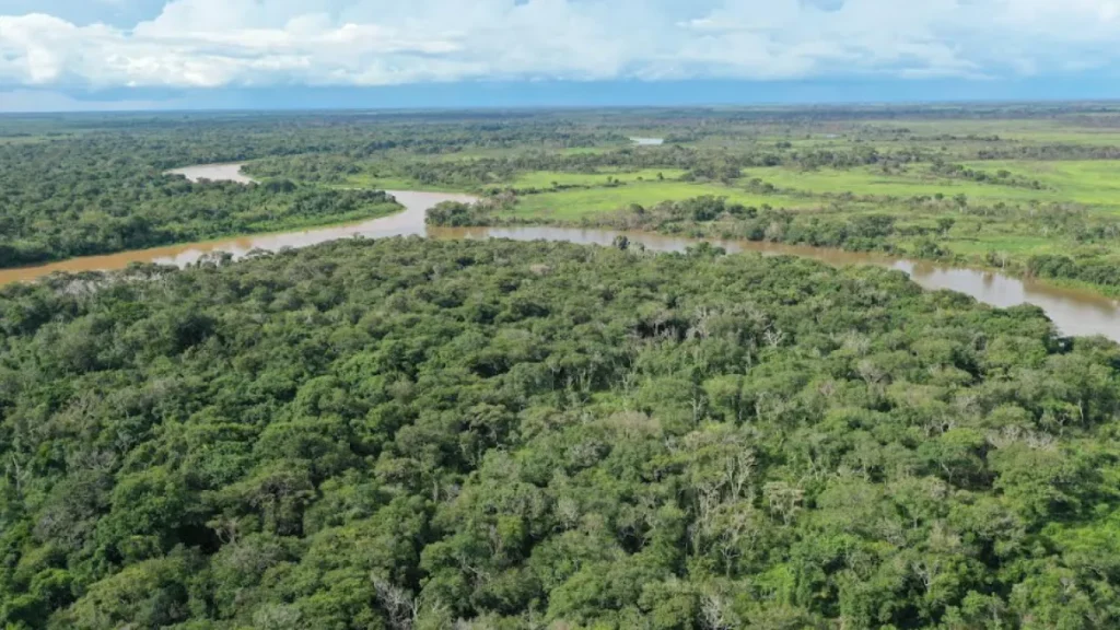 Plano de manejo destina 95% de reserva à proteção de onças