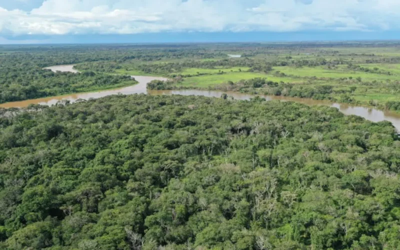 Plano de manejo destina 95% de reserva à proteção de onças