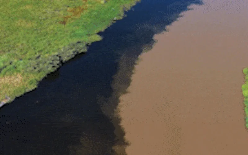 Encontro de rios cria contraste único no Pantanal