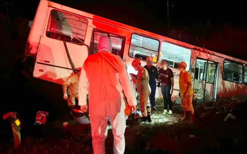Ônibus bate em carreta-cegonha e sai da pista na BR-163