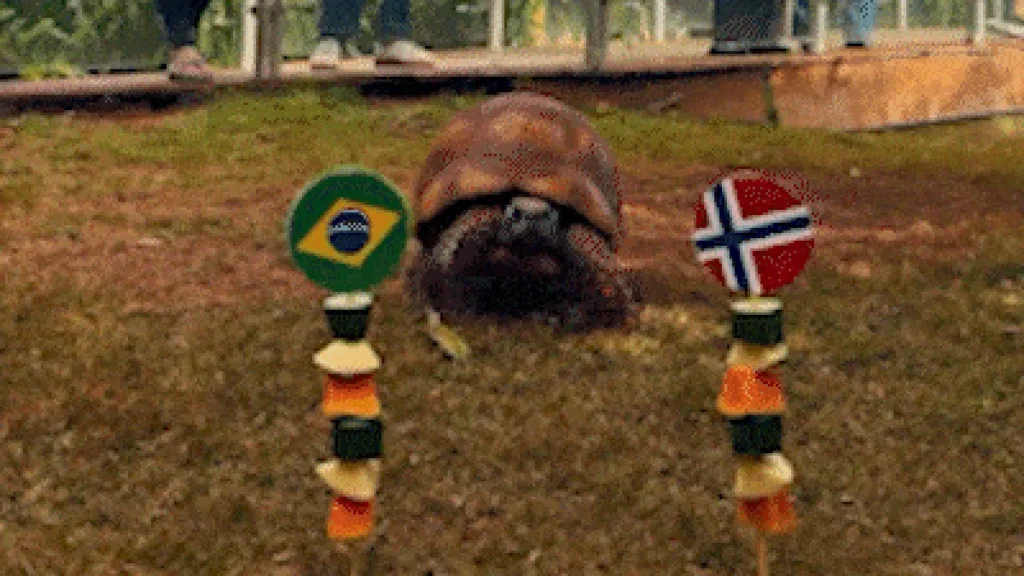 Jabuti prevê vitória da Noruega e eliminação do Brasil na Copa