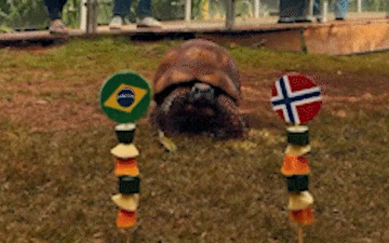 Jabuti prevê vitória da Noruega e eliminação do Brasil na Copa