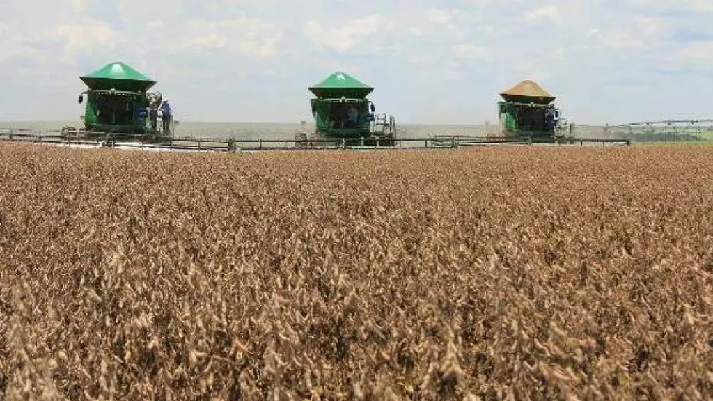 Governo e agro não fecham acordo sobre dívidas rurais