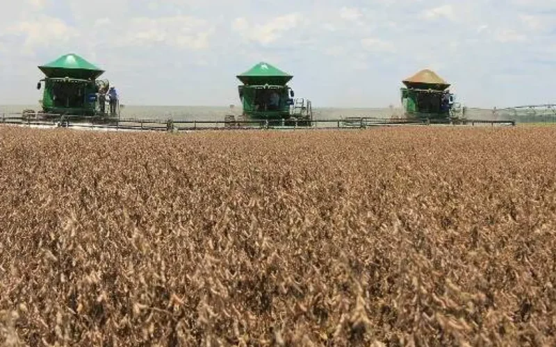 Governo e agro não fecham acordo sobre dívidas rurais
