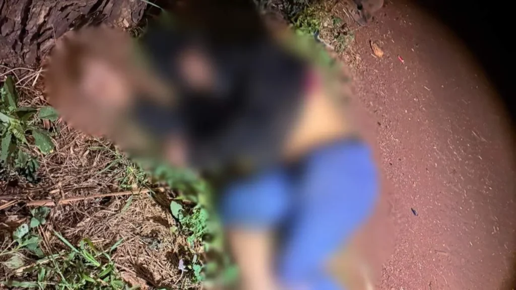Ciclista morre atropelado na MS-376 em Dourados