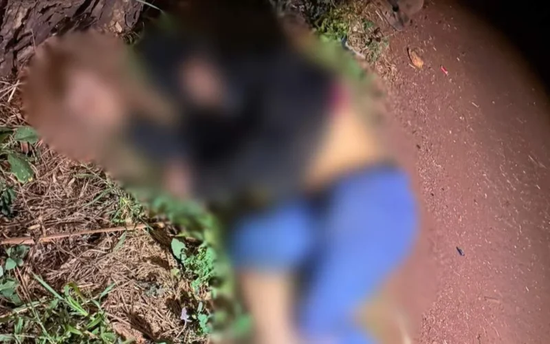 Ciclista morre atropelado na MS-376 em Dourados