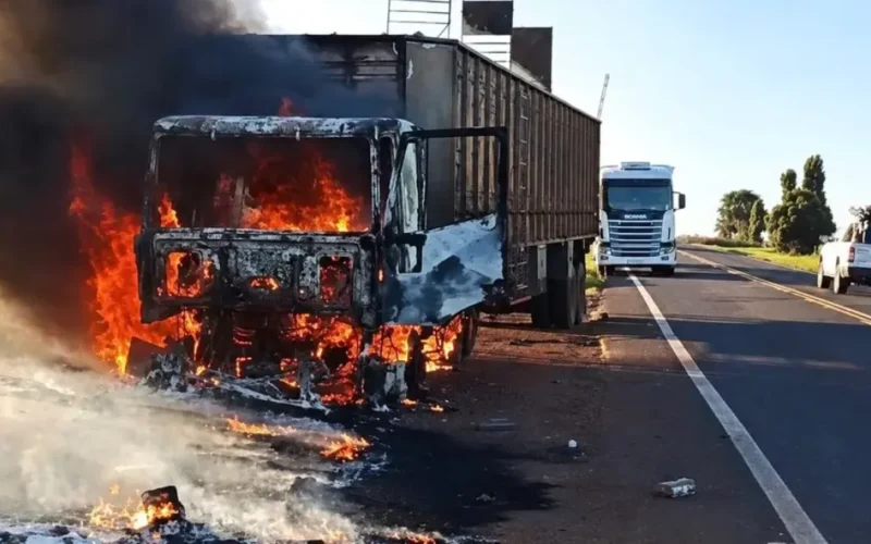 Bois são soltos em rodovia após carreta pegar fogo em MS