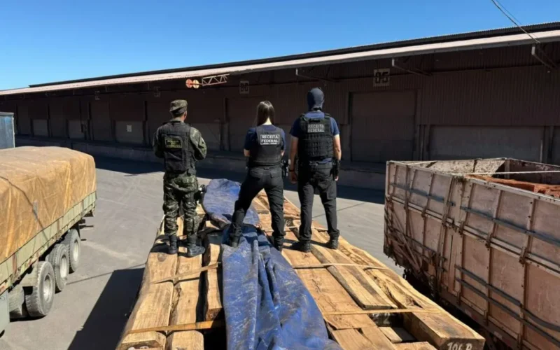 Testes negativos para cocaína em maior apreensão de madeira