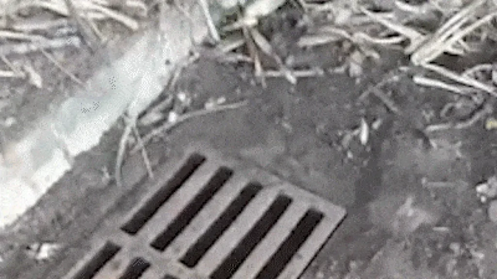 Limpeza de bueiro vira ciclo vicioso em Campo Grande