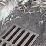 Limpeza de bueiro vira ciclo vicioso em Campo Grande