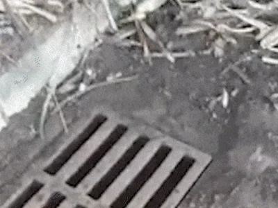 Limpeza de bueiro vira ciclo vicioso em Campo Grande