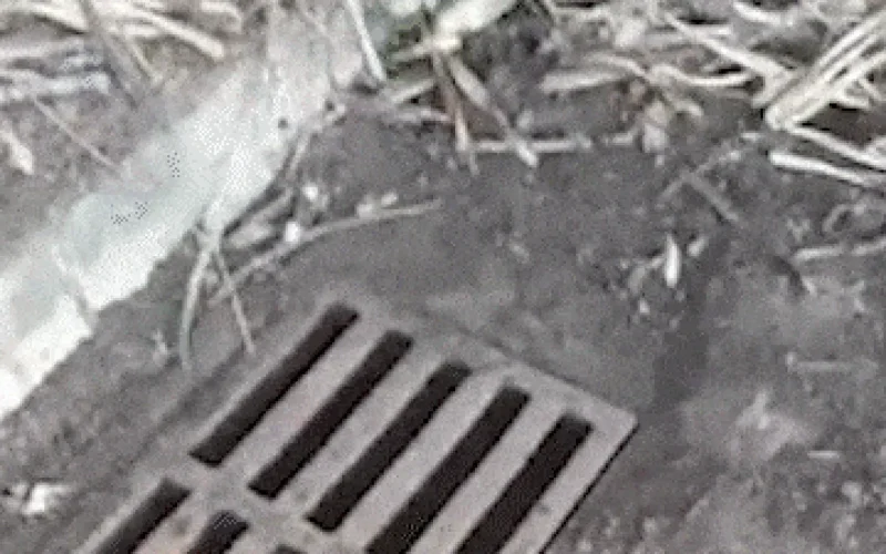 Limpeza de bueiro vira ciclo vicioso em Campo Grande