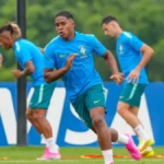 MS: 12 bebês registrados como Endrick durante a Copa