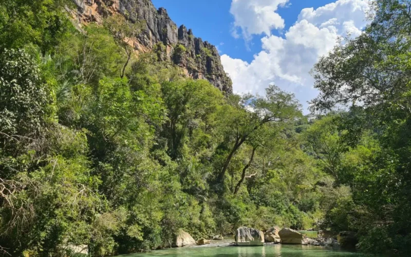 Pacote antiambiental ameaça áreas protegidas de MS