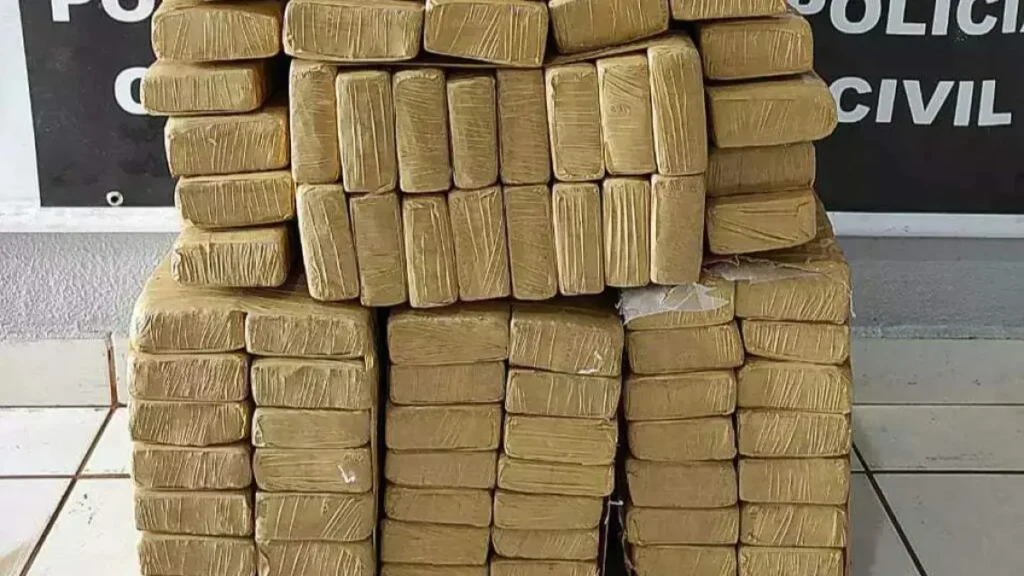 Jovem é preso com 394 kg de maconha em Ponta Porã