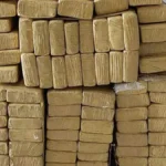 Jovem é preso com 394 kg de maconha em Ponta Porã