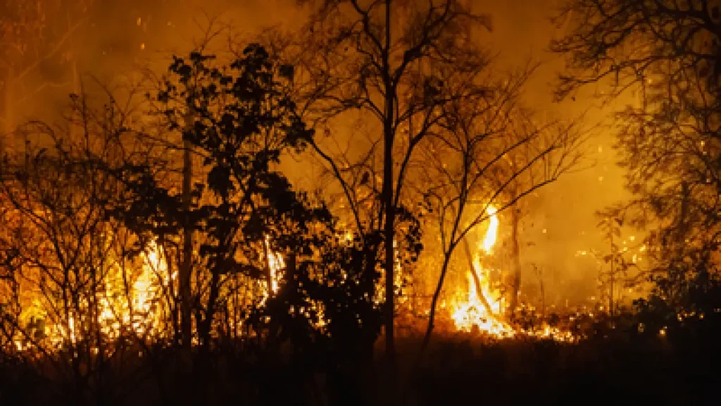 TRT-24 condena Arauco a pagar R$ 10,5 mil a trabalhador exposto a incêndios