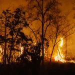 TRT-24 condena Arauco a pagar R$ 10,5 mil a trabalhador exposto a incêndios
