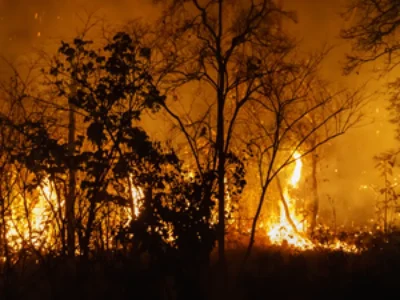 TRT-24 condena Arauco a pagar R$ 10,5 mil a trabalhador exposto a incêndios