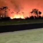 Incêndio de grandes proporções atinge mata em Chapadão do Sul