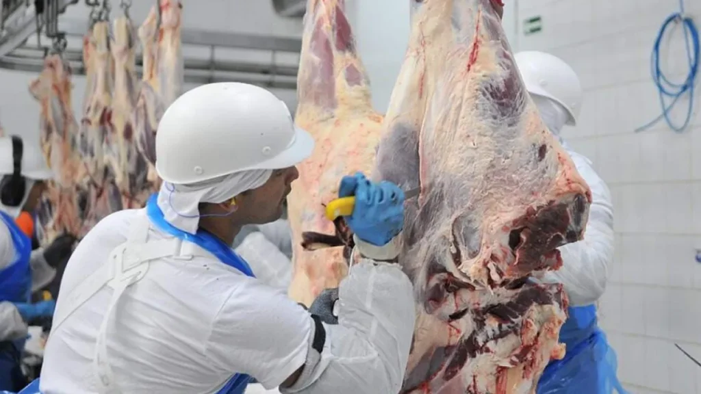 Frigorífico de MS bate recorde e exportação cresce 1.157%