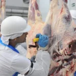 Frigorífico de MS bate recorde e exportação cresce 1.157%