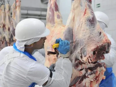 Frigorífico de MS bate recorde e exportação cresce 1.157%