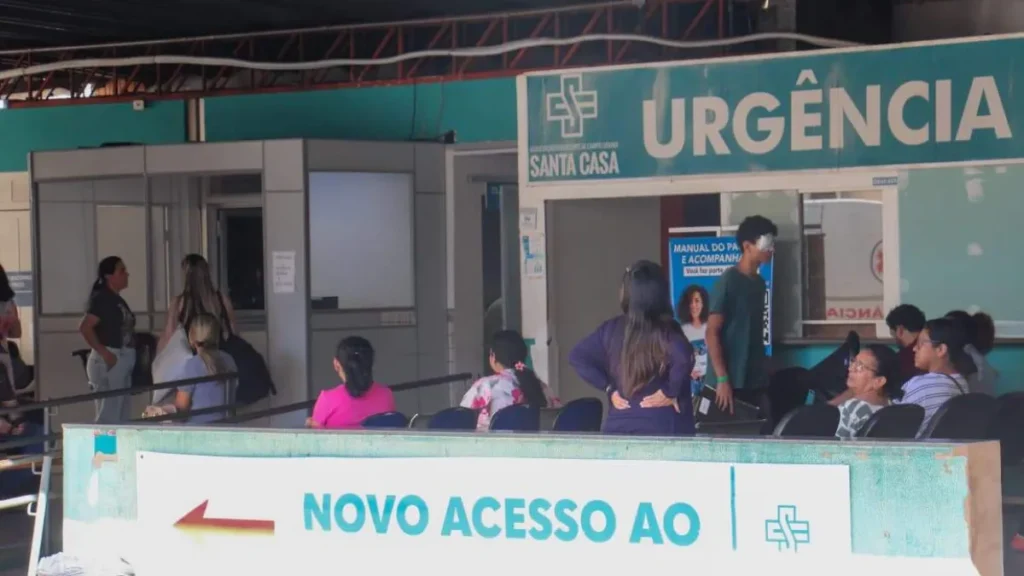 Leilão com 1,5 mil animais ajuda reforma da Santa Casa