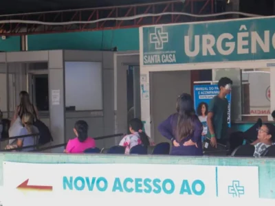 Leilão com 1,5 mil animais ajuda reforma da Santa Casa