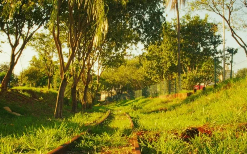 Lente de cinema transforma cotidiano em arte nostálgica
