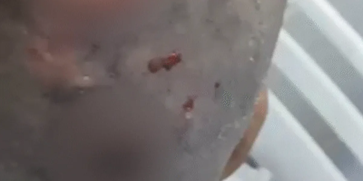 Mulher com larvas na cabeça é resgatada e polícia apura estupro